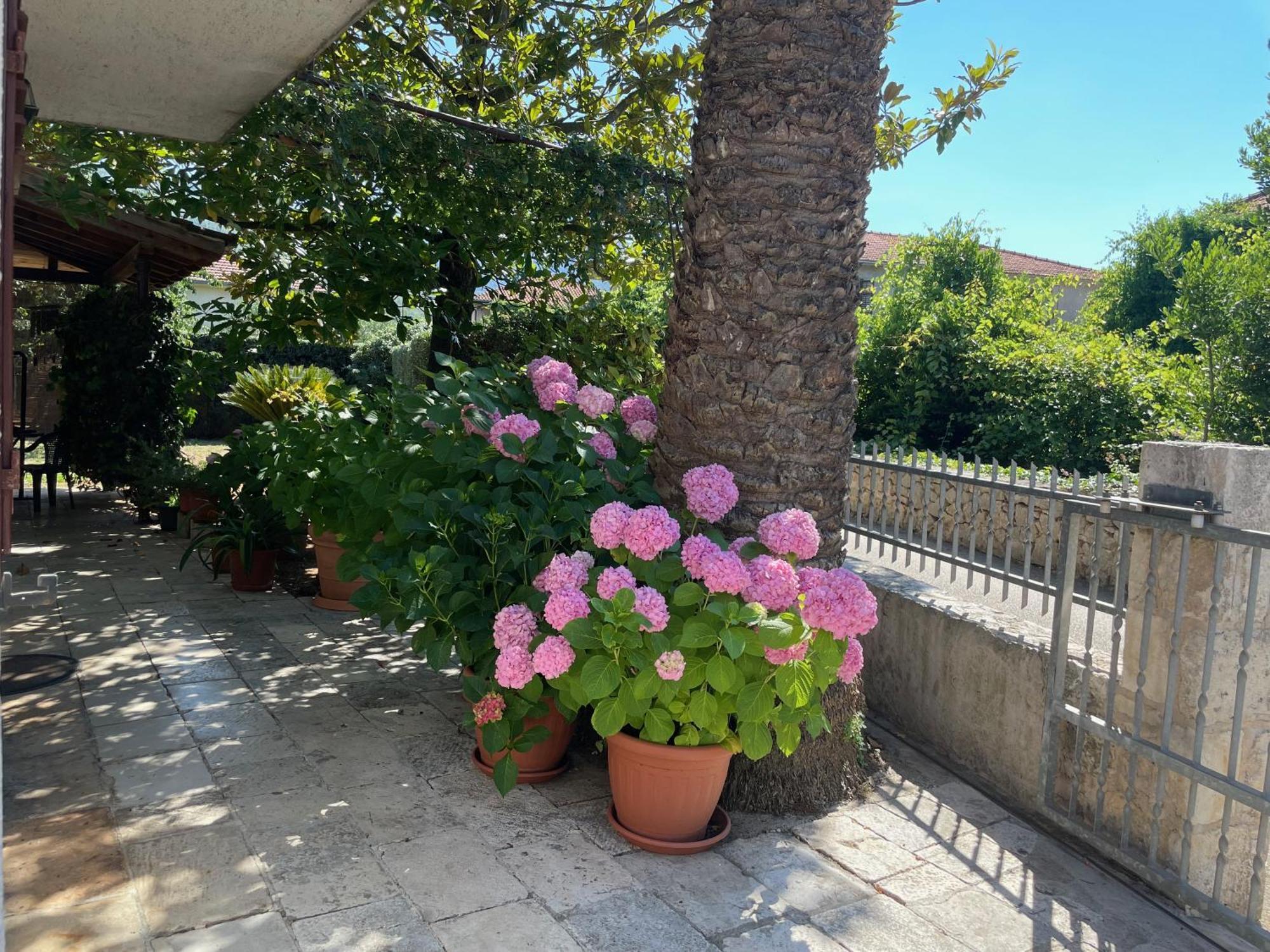 Hvar Guesthouse - Double Bedroom With Private Bathroom 젤사 외부 사진